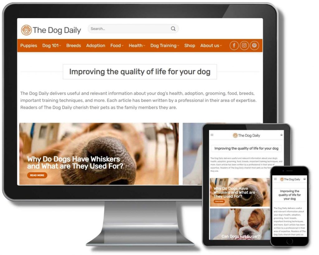 New Website Build - The Dog Daily